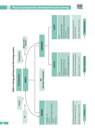 8
Physical preparation/development and training88
Table6:Energypathwaysandtheenergysystem
Foodsubstances
•ATP
•Anaerobicglycolysis
•Withfomrationoflacticacidand
withoutO2
•Boostsglycogen
•ATP
•Creatinephosphate(CP)
•Withoutlacticacidand
withoutO2
•Boostsphosphagenreserves
•Glycogen+O2
•Fat+O2
•Booststheenergiesavailable
withO2
•VO2max
ATP
Adenosinetriphosphate
Thepathwayofintenseand
repeatedexertions
Duration:between10’’and2’
Thepathwayofbriefexertionthat
isbothveryintenseandexplosive
Duration:between1’’and10’’
Thepathwayofcontinuousexertion
fromamoderatetohighlevel
Duration:between15’and90’
MentalapproachSpeed+explosivenessRecovery
ENERGY
ANAEROBICAEROBIC
ALACTICLACTIC
Proteins
Fat
Mineralsalts+
Vitamins
Carbohydrates
 
