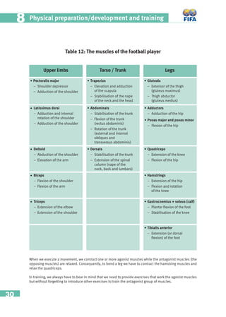 30
Physical preparation/development and training88
When we execute a movement, we contract one or more agonist muscles while the antagonist muscles (the
opposing muscles) are relaxed. Consequently, to bend a leg we have to contract the hamstring muscles and
relax the quadriceps.
In training, we always have to bear in mind that we need to provide exercises that work the agonist muscles
but without forgetting to introduce other exercises to train the antagonist group of muscles.
Table 12: The muscles of the football player
Upper limbs Torso / Trunk Legs
• Pectoralis major
– Shoulder depressor
– Adduction of the shoulder
• Latissimus dorsi
– Adduction and internal
rotation of the shoulder
– Adduction of the shoulder
• Deltoid
– Abduction of the shoulder
– Elevation of the arm
• Biceps
– Flexion of the shoulder
– Flexion of the arm
• Triceps
– Extension of the elbow
– Extension of the shoulder
• Trapezius
– Elevation and adduction
of the scapula
– Stabilisation of the nape
of the neck and the head
• Abdominals
– Stabilisation of the trunk
– Flexion of the trunk
(rectus abdominis)
– Rotation of the trunk
(external and internal
obliques and
transversus abdominis)
• Dorsals
– Stabilisation of the trunk
– Extension of the spinal
column (nape of the
neck, back and lumbars)
• Gluteals
– Extensor of the thigh
(gluteus maximus)
– Thigh abductor
(gluteus medius)
• Adductors
– Adduction of the hip
• Psoas major and psoas minor
– Flexion of the hip
• Quadriceps
– Extension of the knee
– Flexion of the hip
• Hamstrings
– Extension of the hip
– Flexion and rotation
of the knee
• Gastrocnemius + soleus (calf)
– Plantar ﬂexion of the foot
– Stabilisation of the knee
• Tibialis anterior
– Extension (or dorsal
ﬂexion) of the foot
 