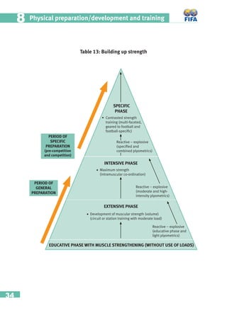 34
Physical preparation/development and training88
Table 13: Building up strength
PERIOD OF
SPECIFIC
PREPARATION
(pre-competition
and competition)
• Development of muscular strength (volume)
(circuit or station training with moderate load)
EDUCATIVE PHASE WITH MUSCLE STRENGTHENING (WITHOUT USE OF LOADS)
PERIOD OF
GENERAL
PREPARATION
SPECIFIC
PHASE
INTENSIVE PHASE
EXTENSIVE PHASE
• Maximum strength
(intramuscular co-ordination)
• Contrasted strength
training (multi-faceted,
geared to football and
football-speciﬁc)
Reactive – explosive
(speciﬁed and
combined plyometrics)
Reactive – explosive
(moderate and high-
intensity plyometrics)
Reactive – explosive
(educative phase and
light plyometrics)
 