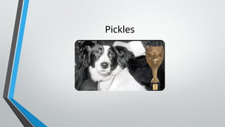 Pickles
 
