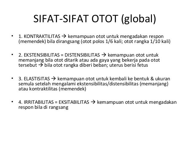 Sifat sifat otot polos