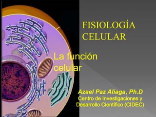 FISIOLOGÍA
CELULAR
La función
celular
Azael Paz Aliaga, Ph.D
Centro de Investigaciones y
Desarrollo Científico (CIDEC)
 
