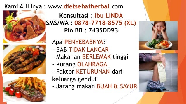 0878-7718-8575 (XL), Obat Pelangsing Alami Buatan Sendiri