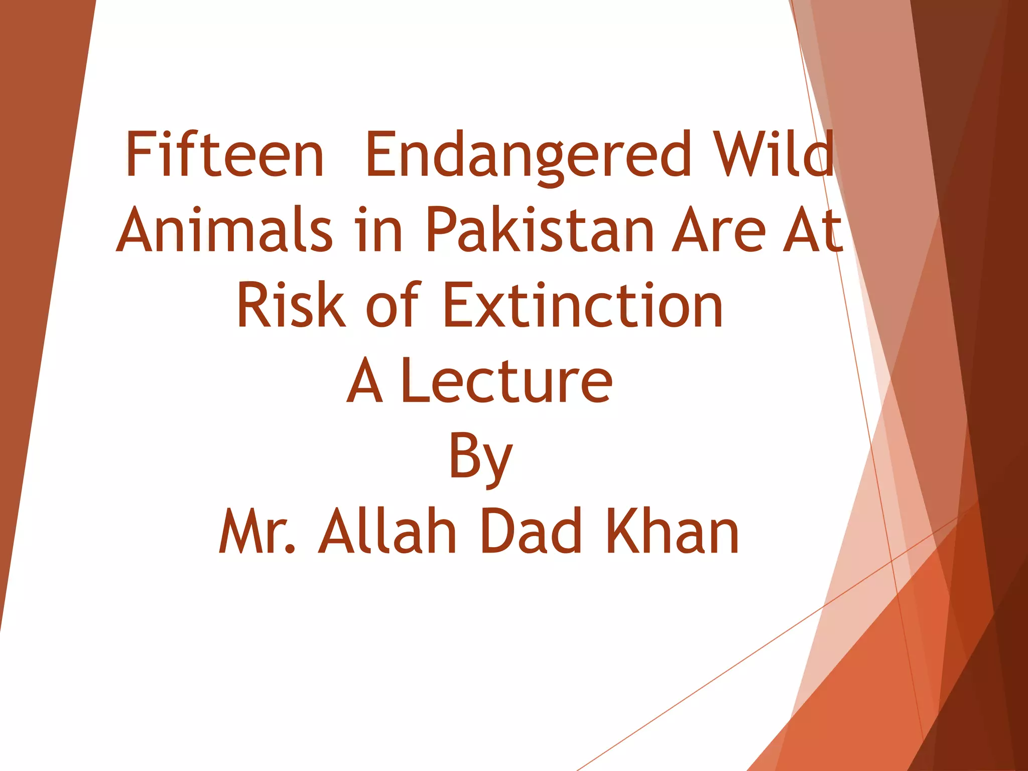 Animals In Pakistan Fifteen endangered animals in pakistan are at risk By Mr Allah Dad Khan ...