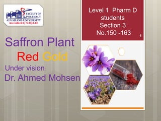 Level 1 Pharm D
students
Section 3
No.150 -163
Saffron Plant
Red Gold
Under vision:
Dr. Ahmed Mohsen
 