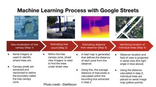 Machine Learning Process with Google Streets
Geo-localization of tree
canopy (Step 1)
● Aerial imagery is
used to identify...