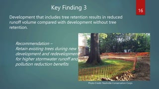 16
Development that includes tree retention results in reduced
runoff volume compared with development without tree
retention.
Recommendation –
Retain existing trees during new
development and redevelopment
for higher stormwater runoff and
pollution reduction benefits
Key Finding 3
Photo Credit: Nashville Conservation Corps
 