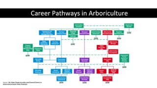 Registered Apprenticeship: The Future of Workforce Development in Urban ...