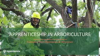 APPRENTICESHIP IN ARBORICULTURE
7
Examples from Openlands & Wisconsin
 