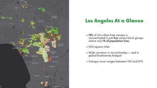 Urban Forest Equity Collective: Closing the Canopy Gap in Los Angeles