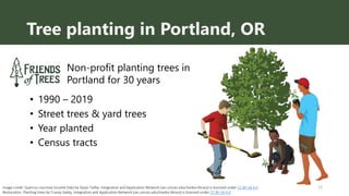 Tree planting in Portland, OR
Non-profit planting trees in
Portland for 30 years
12
• 1990 – 2019
• Street trees & yard tr...
