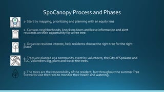 SpoCanopy Process and Phases
 