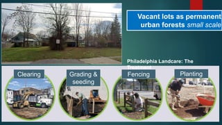 Vacant lots as permanent
urban forests small scale
Clearing Grading &
seeding
Fencing Planting
Philadelphia Landcare: The
Treatment
 