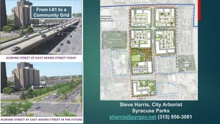 From I-81 to a
Community Grid
Steve Harris, City Arborist
Syracuse Parks
sharris@syrgov.net (315) 956-3081
 