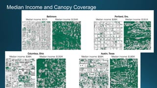 Median Income and Canopy Coverage
 