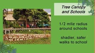 Tree Canopy
and Schools
1/2 mile radius
around schools
shadier, safer
walks to school
 