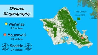 Diverse
Biogeography
Waiʻanae
22 inches
Maunawili
73 inches
Seattle
37 inches
 