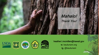 Mahalo!
Thank You!
heather.l.mcmillen@hawaii.gov
w. kaulunani.org
ig. @kaulunani
 
