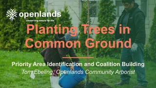 Planting Trees in
Common Ground
Priority Area Identification and Coalition Building
Tom Ebeling, Openlands Community Arborist
 