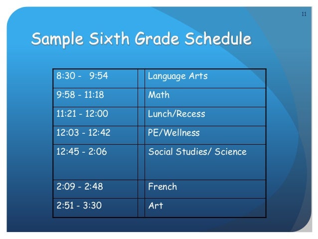 Social studies homework helper online