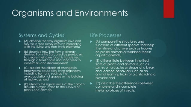 Fifth grade science teks