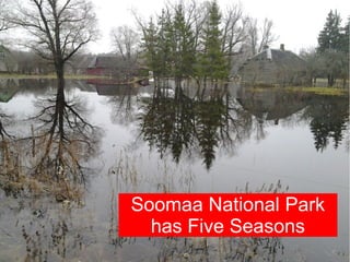 Soomaa National Park
  has Five Seasons
 