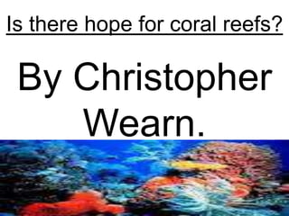 Is there hope for coral reefs?

 By Christopher
    Wearn.
 