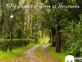 Fifty shades of Green at Meriyanda Nature Lodge - Coorg, A boutique resort in Coorg.