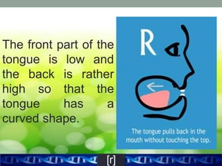 Figure 15 Post Alveolar [r] | PPTX