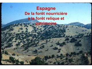 Espagne De la forêt nourricière à la forêt relique et patrimoine 