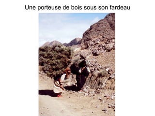 Une porteuse de bois sous son fardeau 