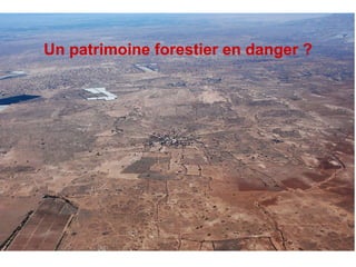 Un patrimoine forestier en danger ? Un patrimoine forestier en danger ? 