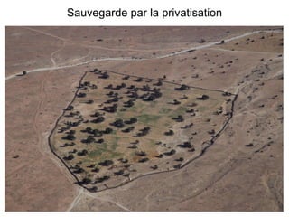 Sauvegarde par la privatisation 