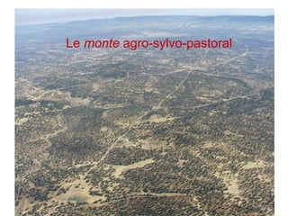 Le  monte  agro-sylvo-pastoral Le  monte  agro-sylvo-pastoral 