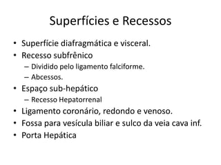 Superfícies e Recessos
• Superfície diafragmática e visceral.
• Recesso subfrênico
   – Dividido pelo ligamento falciforme.
   – Abcessos.
• Espaço sub-hepático
   – Recesso Hepatorrenal
• Ligamento coronário, redondo e venoso.
• Fossa para vesícula biliar e sulco da veia cava inf.
• Porta Hepática
 