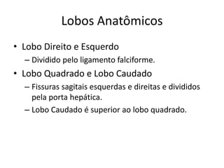 Lobos Anatômicos
• Lobo Direito e Esquerdo
  – Dividido pelo ligamento falciforme.
• Lobo Quadrado e Lobo Caudado
  – Fissuras sagitais esquerdas e direitas e divididos
    pela porta hepática.
  – Lobo Caudado é superior ao lobo quadrado.
 
