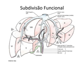 Subdivisão Funcional
 