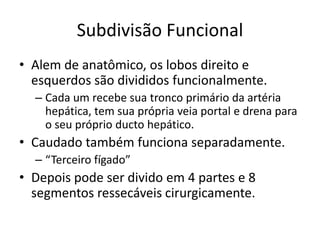 Subdivisão Funcional
• Alem de anatômico, os lobos direito e
  esquerdos são divididos funcionalmente.
  – Cada um recebe sua tronco primário da artéria
    hepática, tem sua própria veia portal e drena para
    o seu próprio ducto hepático.
• Caudado também funciona separadamente.
  – “Terceiro fígado”
• Depois pode ser divido em 4 partes e 8
  segmentos ressecáveis cirurgicamente.
 