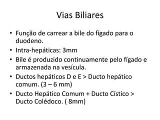 Vias Biliares
• Função de carrear a bile do fígado para o
  duodeno.
• Intra-hepáticas: 3mm
• Bile é produzido continuamente pelo fígado e
  armazenada na vesícula.
• Ductos hepáticos D e E > Ducto hepático
  comum. (3 – 6 mm)
• Ducto Hepático Comum + Ducto Cístico >
  Ducto Colédoco. ( 8mm)
 