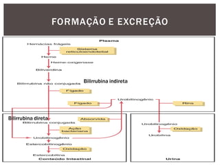 FORMAÇÃO E EXCREÇÃO
Bilirrubina indireta
Bilirrubina direta
 