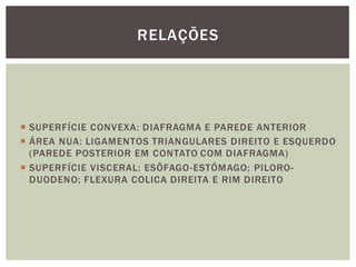  SUPERFÍCIE CONVEXA: DIAFRAGMA E PAREDE ANTERIOR
 ÁREA NUA: LIGAMENTOS TRIANGULARES DIREITO E ESQUERDO
(PAREDE POSTERIOR EM CONTATO COM DIAFRAGMA)
 SUPERFÍCIE VISCERAL: ESÔFAGO-ESTÔMAGO; PILORO-
DUODENO; FLEXURA COLICA DIREITA E RIM DIREITO
RELAÇÕES
 