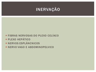  FIBRAS NERVOSAS DO PLEXO CELÍACO
 PLEXO HEPÁTICO
 NERVOS ESPLÂNCNICOS
 NERVO VAGO E ABDOMINOPELVICO
INERVAÇÃO
 