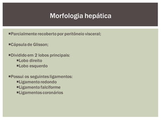Parcialmenterecobertopor peritôneio visceral;
Cápsulade Glisson;
Divididoem 2 lobos principais:
Lobo direito
Lobo esquerdo
Possui os seguintesligamentos:
Ligamentoredondo
Ligamentofalciforme
Ligamentoscoronários
Morfologia hepática
 