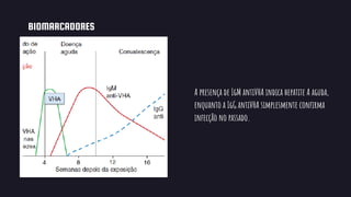 BIOMARCADORES
A presença de IgM antiVHA indica hepatite A aguda,
enquanto a IgG antiVHA simplesmente confirma
infecção no passado.
 