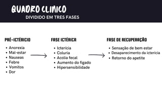 08
QUADROCLINICO
DIVIDIDO EM TRES FASES
PRÉ-ICTÉRICIO
Anorexia
Mal-estar
Nauseas
Vomitos
Febre
Dor
FASE ICTÉRICA
Icterícia
Coluria
Acolia fecal
Aumento do figado
Hipersensibilidade
FASE DE RECUPERAÇÃO
Sensação de bem estar
Desaparecimento da ictericia
Retorno do apetite
 