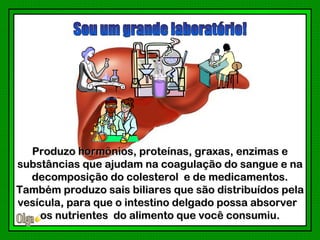 Produzo hormônios, proteínas, graxas, enzimas e
substâncias que ajudam na coagulação do sangue e na
  decomposição do colesterol e de medicamentos.
Também produzo sais biliares que são distribuídos pela
vesícula, para que o intestino delgado possa absorver
    os nutrientes do alimento que você consumiu.
 