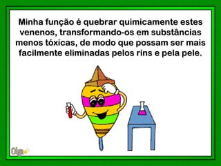 Minha função é quebrar quimicamente estes
 venenos, transformando-os em substâncias
menos tóxicas, de modo que possam ser mais
facilmente eliminadas pelos rins e pela pele.
 