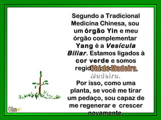 Segundo a Tradicional
 Medicina Chinesa, sou
  um órgão Yin e meu
  órgão complementar
   Yang é a Vesícula
Biliar . Estamos ligados à
   cor verde e somos
  regidos pelo Chi da
         Madeira .
   Por isso, como uma
 planta, se você me tirar
um pedaço, sou capaz de
me regenerar e crescer
        novamente.
 