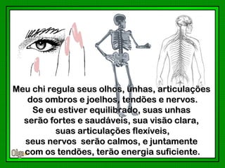 Meu chi regula seus olhos, unhas, articulações
   dos ombros e joelhos, tendões e nervos.
    Se eu estiver equilibrado, suas unhas
  serão fortes e saudáveis, sua visão clara,
          suas articulações flexíveis,
  seus nervos serão calmos, e juntamente
  com os tendões, terão energia suficiente.
 