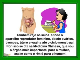 Também rejo os seios e todo o
aparelho reprodutor feminino, desde ovários,
trompas, útero e vagina até o ciclo menstrual.
 Por isso se diz na Medicina Chinesa, que sou
   o órgão mais importante para a mulher,
       assim como o rim é para o homem!
 